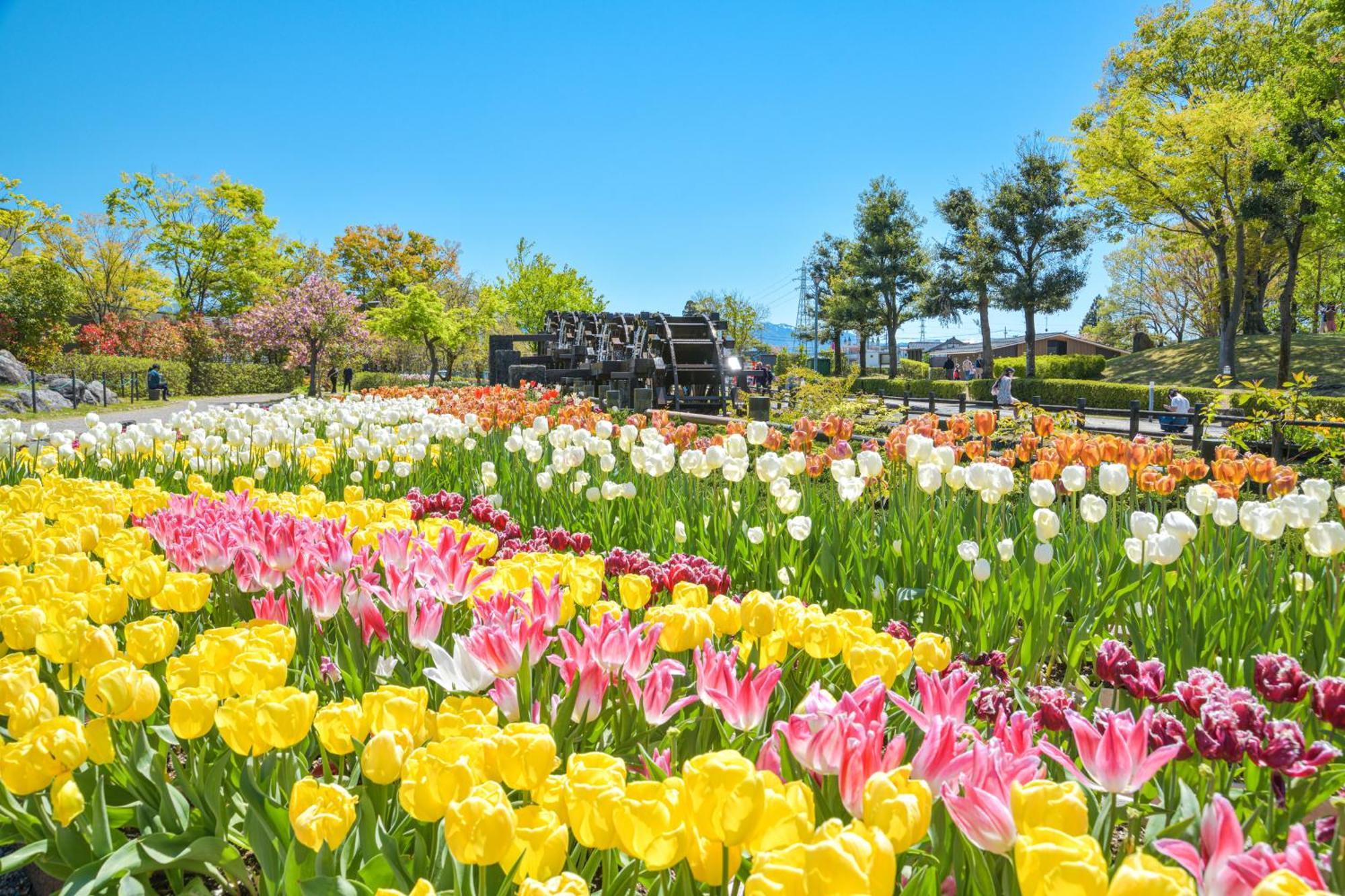 Mercure Toyama Tonami Resort & Spa Exterior foto