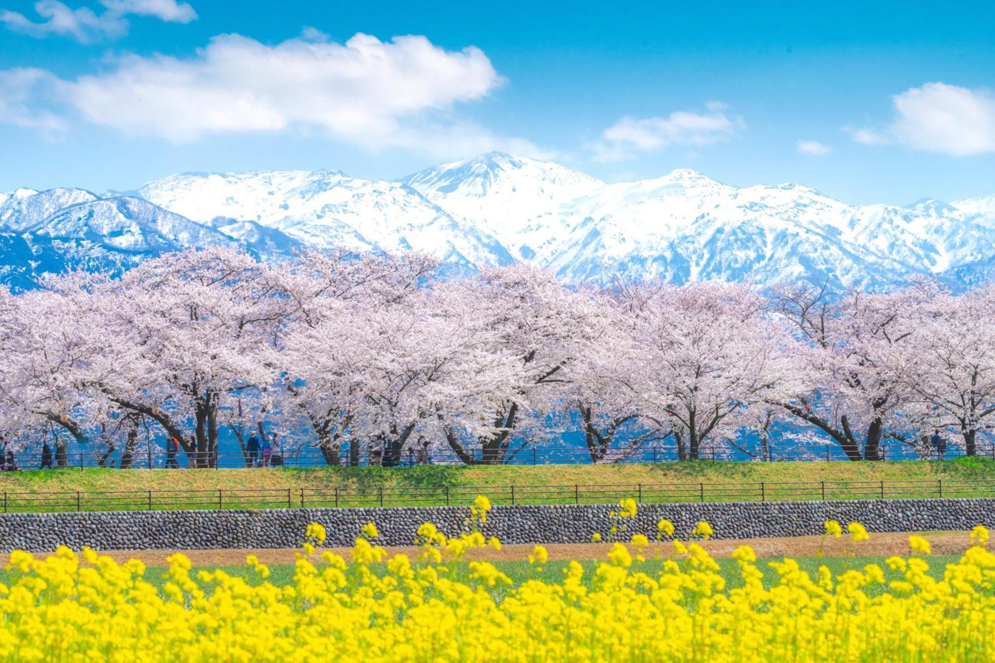 Mercure Toyama Tonami Resort & Spa Exterior foto